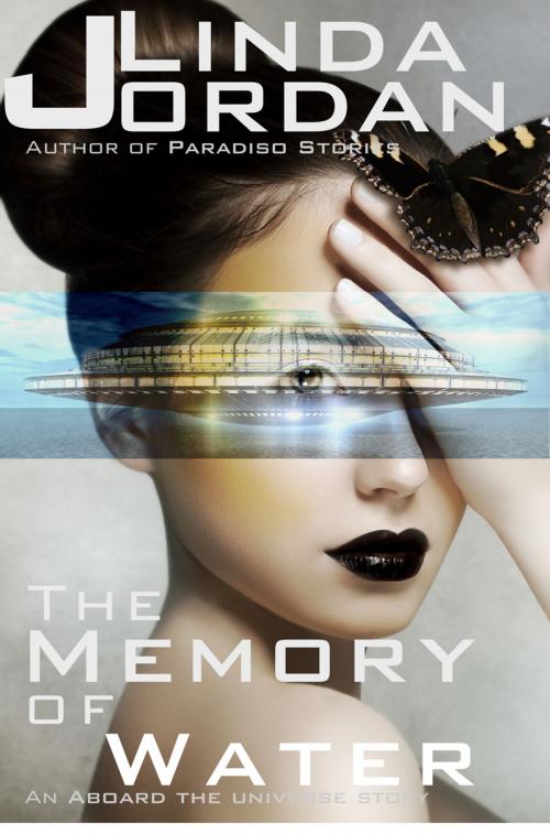 Cover of the book The Memory of Water by Linda Jordan, Metamorphosis Press