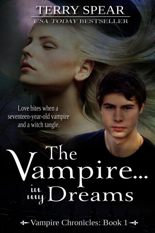 Cover of the book The Vampire...In My Dreams by Terry Spear, Terry Spear