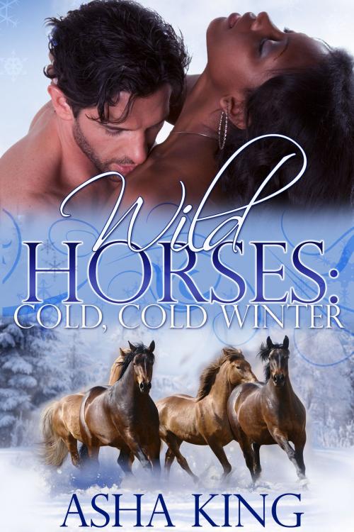 Cover of the book Wild Horses: Cold, Cold Winter by Asha King, Asha King Books