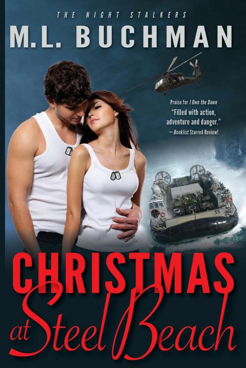 Cover of the book Christmas at Steel Beach by M. L. Buchman, Buchman Bookworks, Inc.