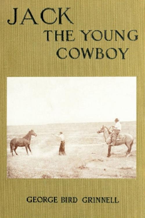 Cover of the book Jack the Young Cowboy by George Bird Grinnell, Classic Westerns
