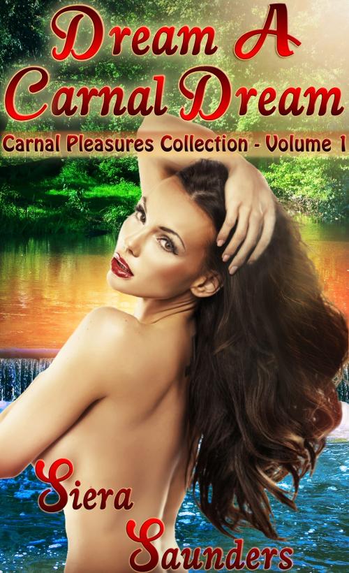 Cover of the book Dream A Carnal Dream by Siera Saunders, JSC Publishing