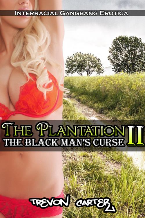 Cover of the book The Plantation 2: The Black Man's Curse by Trevon Carter, Trevon Carter