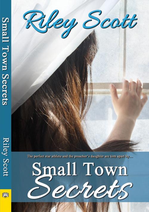 Cover of the book Small Town Secrets by Riley Scott, Bella Books