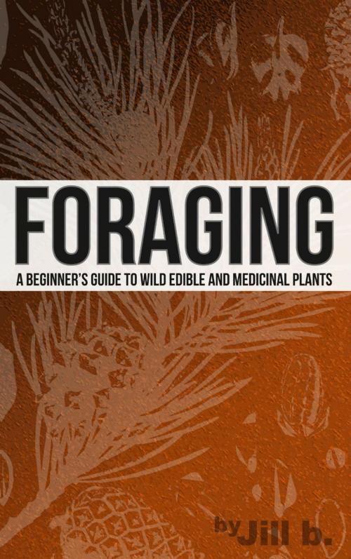 Cover of the book Foraging - A Beginner's Guide to Wild Edible and Medicinal Plants by Jill b., Abundant Publishing