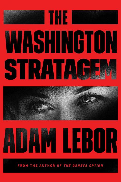 Cover of the book The Washington Stratagem by Adam LeBor, Bourbon Street Books