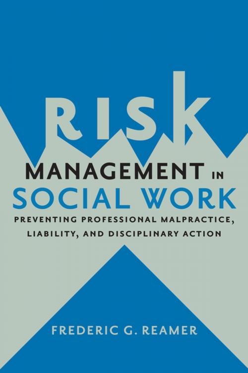Cover of the book Risk Management in Social Work by Frederic G. Reamer, Columbia University Press