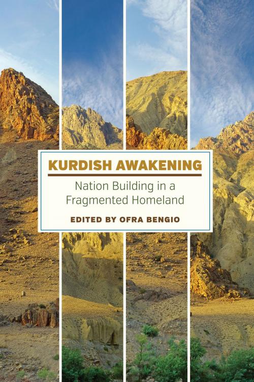 Cover of the book Kurdish Awakening by , University of Texas Press