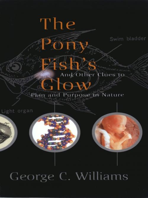 Cover of the book The Pony Fish's Glow by George C. Williams, Basic Books