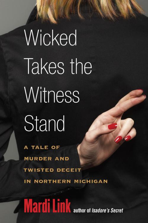 Cover of the book Wicked Takes the Witness Stand by Mardi Link, University of Michigan Press