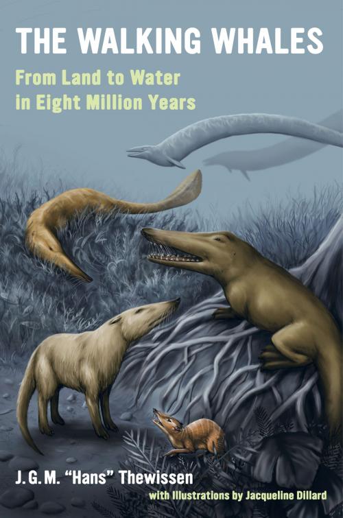 Cover of the book The Walking Whales by J. G. M. Hans Thewissen, University of California Press