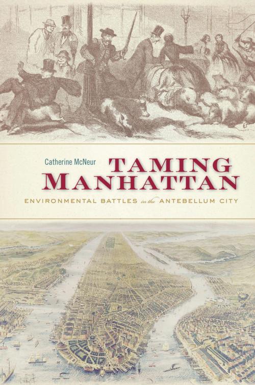 Cover of the book Taming Manhattan by Catherine McNeur, Harvard University Press