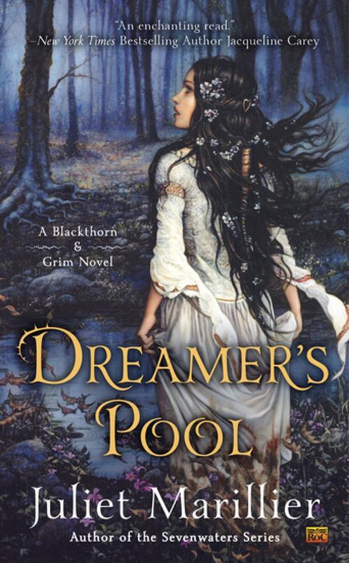 Cover of the book Dreamer's Pool by Juliet Marillier, Penguin Publishing Group