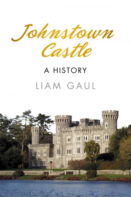 Cover of the book Johnstown Castle by Liam Gaul, The History Press