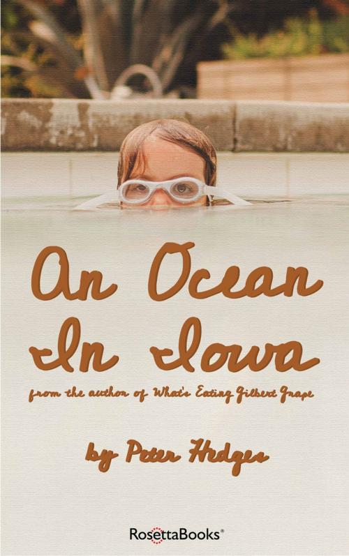 Cover of the book An Ocean in Iowa by Peter Hedges, RosettaBooks