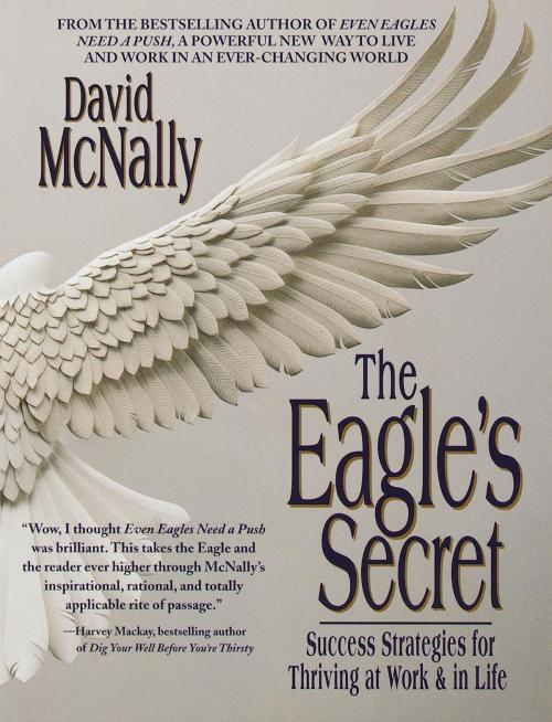 Cover of the book The Eagle's Secret by David McNally, Random House Publishing Group