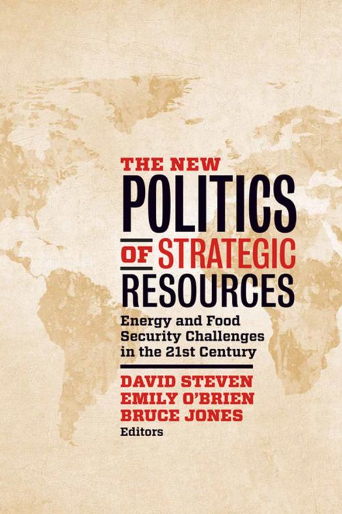 Cover of the book The New Politics of Strategic Resources by , Brookings Institution Press
