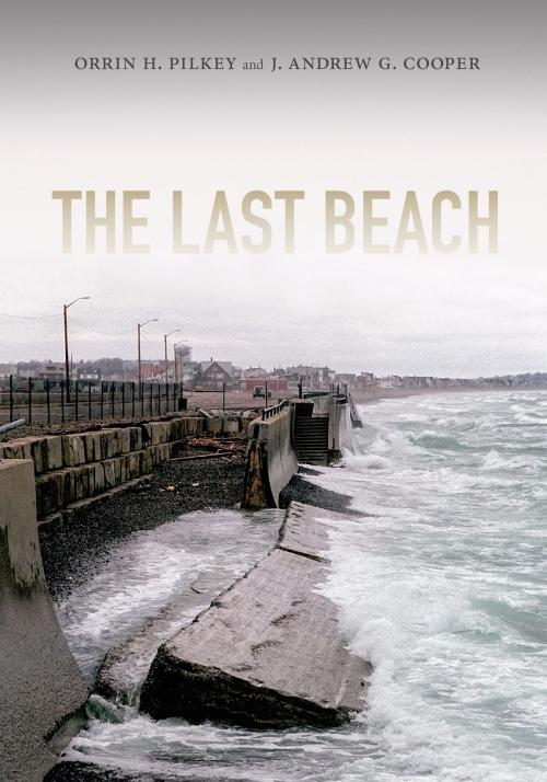 Cover of the book The Last Beach by J. Andrew G. Cooper, Orrin H. Pilkey, Duke University Press