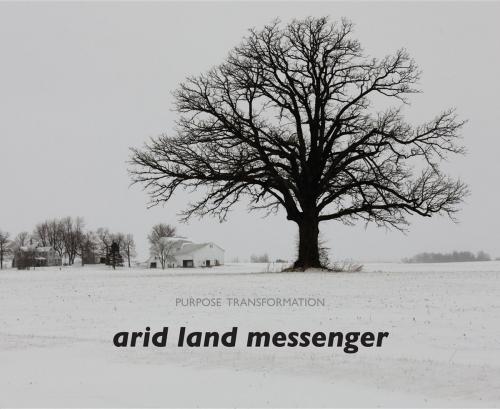 Cover of the book Purpose Transformation by arid land messenger, Jeanna Lambert, arid land messenger