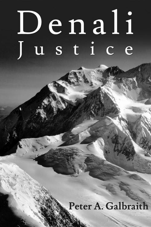 Cover of the book Denali Justice by Peter A. Galbraith, Peter A Galbraith
