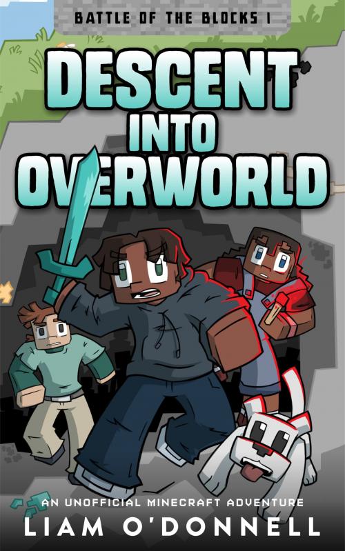 Cover of the book Descent into Overworld by Liam O'Donnell, Feeding Change Media