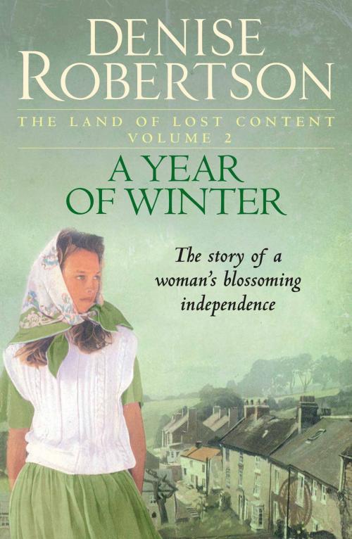 Cover of the book A Year of Winter by Denise Robertson, Lindhope Limited