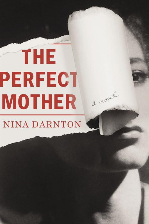 Cover of the book The Perfect Mother by Nina Darnton, Penguin Publishing Group