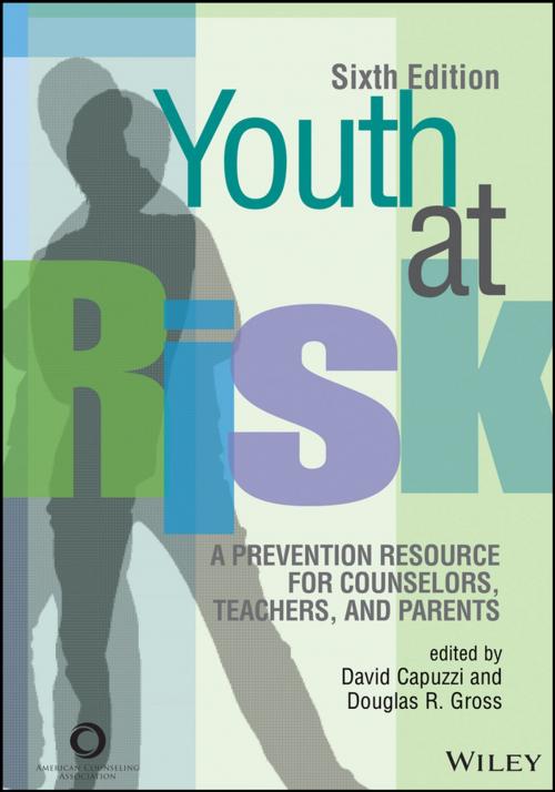 Cover of the book Youth at Risk by , Wiley