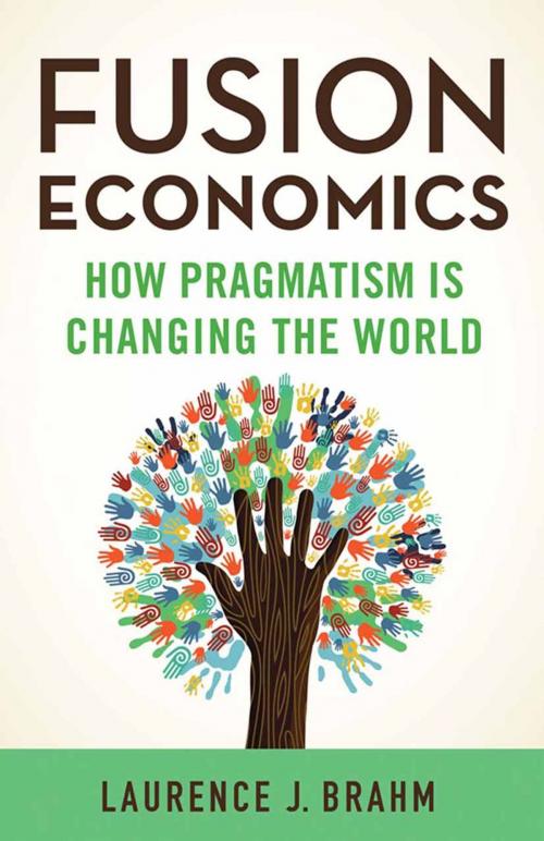 Cover of the book Fusion Economics by L. Brahm, Palgrave Macmillan US