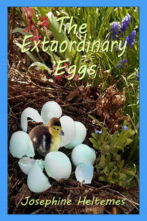 Cover of the book The Extraordinary Eggs by Josephine Heltemes, Josephine Heltemes