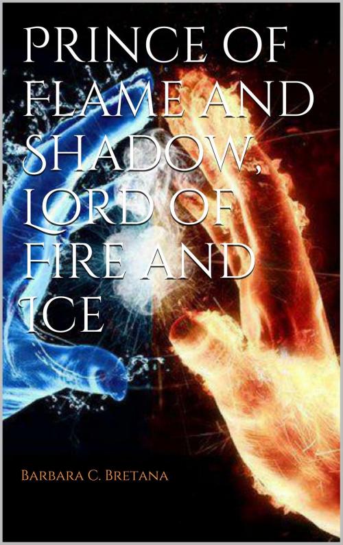 Cover of the book Prince of Flame and Shadow, Lord of Fire and Ice by Barbara Bretana, Barbara Bretana