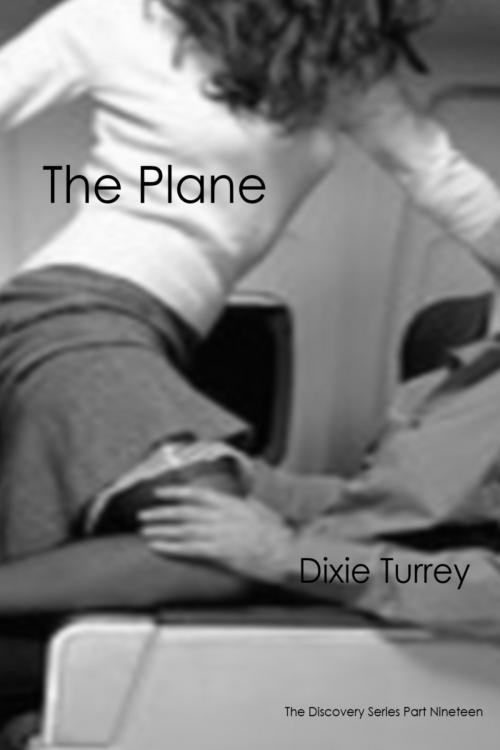 Cover of the book The Plane by Dixie Turrey, Dixie Turrey