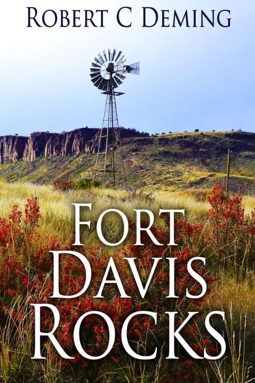 Cover of the book Fort Davis Rocks by Robert Deming, Robert Deming