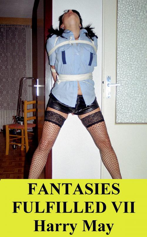 Cover of the book Fantasies Fulfilled VII by Harry May, Harry May