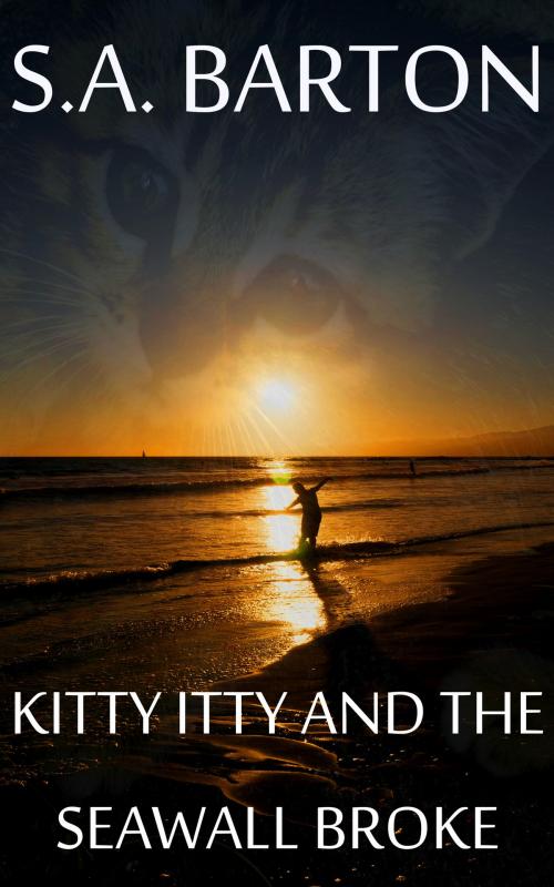 Cover of the book Kitty Itty And The Seawall Broke by S. A. Barton, S. A. Barton