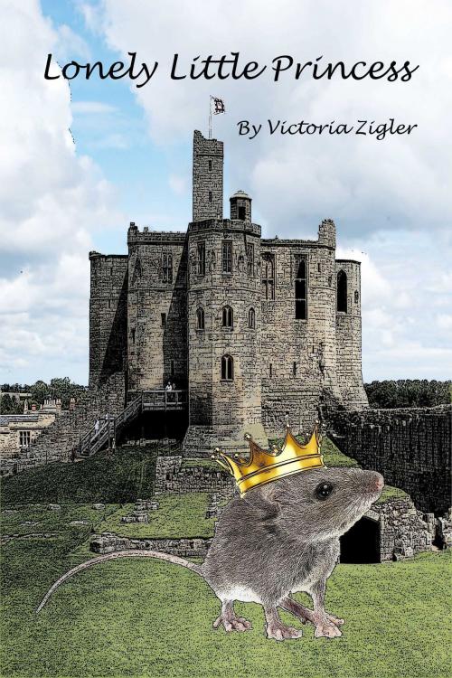 Cover of the book Lonely Little Princess by Victoria Zigler, Victoria Zigler