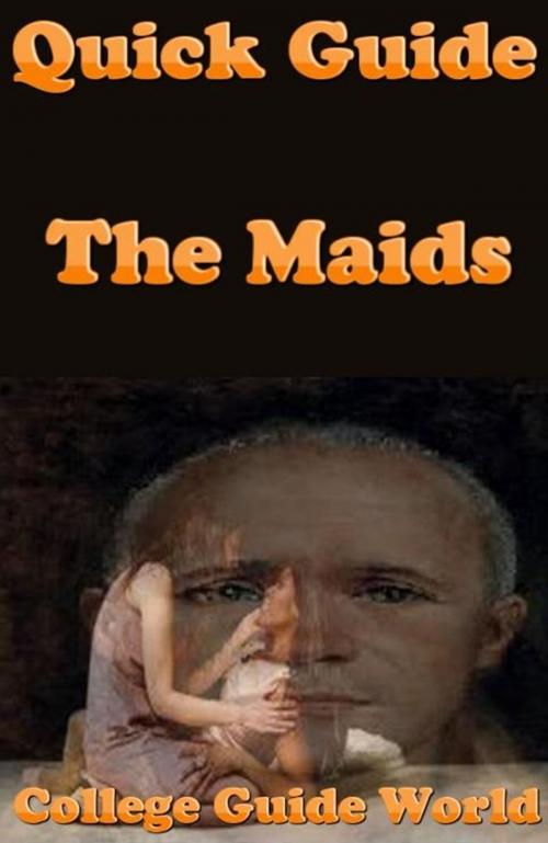 Cover of the book Quick Guide: The Maids by College Guide World, Raja Sharma