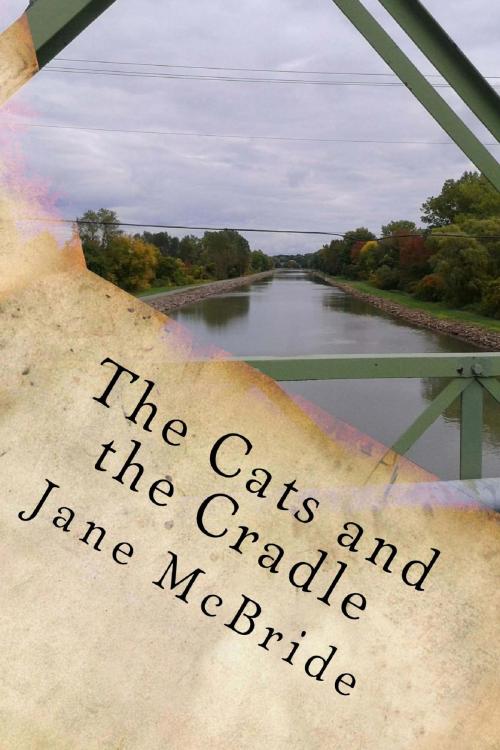 Cover of the book The Cats and the Cradle by Jane McBride, Jane McBride