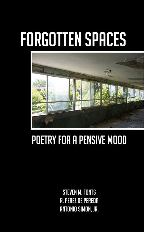 Cover of the book Forgotten Spaces: Poetry For A Pensive Mood by Steven Fonts, Ramiro Perez de Pereda, Antonio Simon Jr, Darkwater Syndicate, Inc.