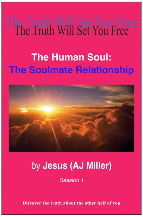 Cover of the book The Human Soul: The Soulmate Relationship Session 1 by Jesus (AJ Miller), Divine Truth Pty Ltd