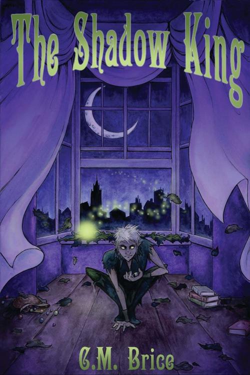 Cover of the book The Shadow King by C.M. Brice, C.M. Brice