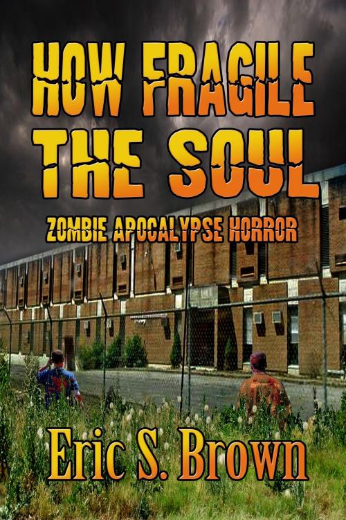 Cover of the book How Fragile The Soul by Eric S. Brown, Eric S. Brown