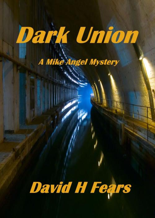 Cover of the book Dark Union: A Mike Angel Mystery by David H Fears, David H Fears