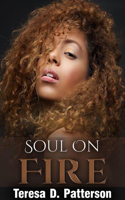 Cover of the book Soul on Fire by Teresa D. Patterson, Teresa D. Patterson
