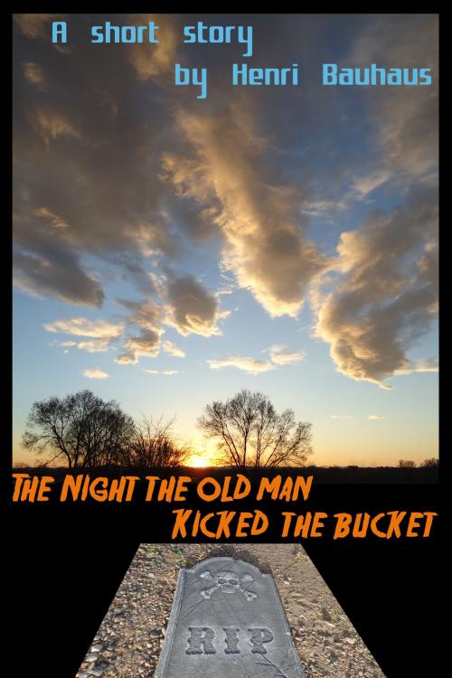 Cover of the book The Night the Old Man Kicked the Bucket by Henri Bauhaus, Henri Bauhaus