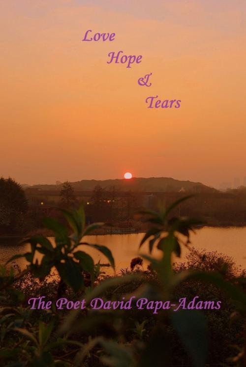 Cover of the book Love Hope and Tears by David Papa-Adams, David Papa-Adams