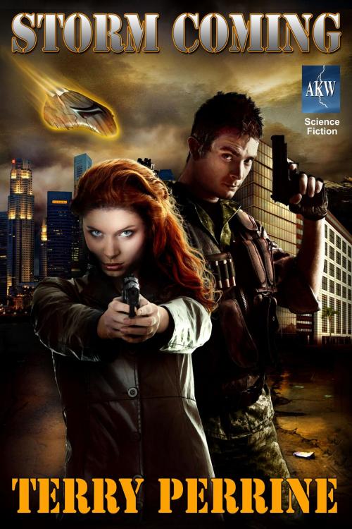Cover of the book Storm Coming by Terry Perrine, Terry Perrine