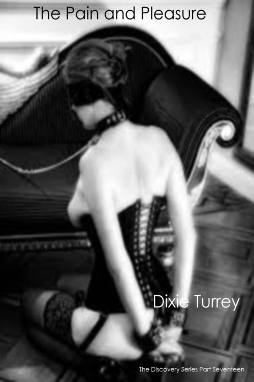 Cover of the book The Pain and the Pleasure by Dixie Turrey, Dixie Turrey