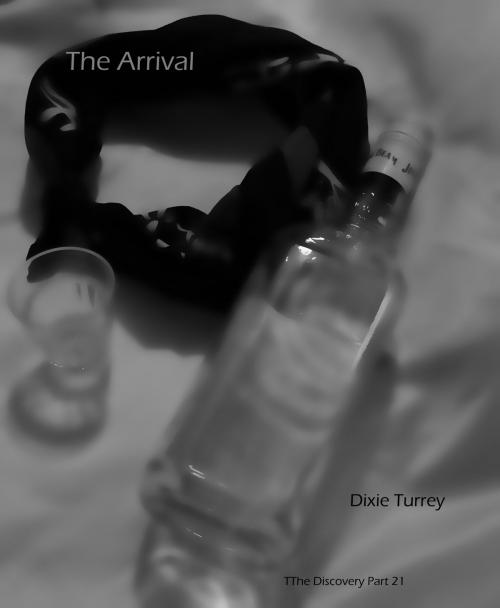 Cover of the book The Arrival by Dixie Turrey, Dixie Turrey