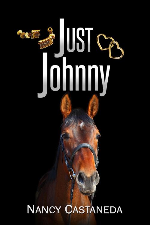 Cover of the book Just Johnny by Nancy Castaneda, Nancy Castaneda